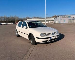 VW Golf Gebrauchtwagen