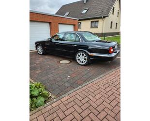 Jaguar XJ6 Gebrauchtwagen