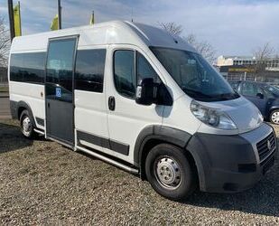 Fiat Ducato Gebrauchtwagen