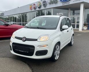 Fiat New Panda Gebrauchtwagen