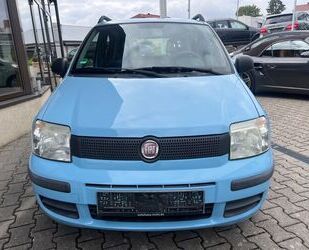 Fiat Panda Gebrauchtwagen