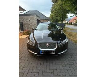 Jaguar XF Gebrauchtwagen