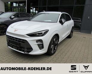 Cupra Terramar Gebrauchtwagen