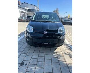 Fiat New Panda Gebrauchtwagen
