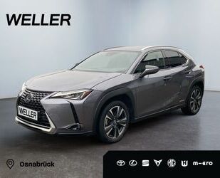 Lexus UX Gebrauchtwagen