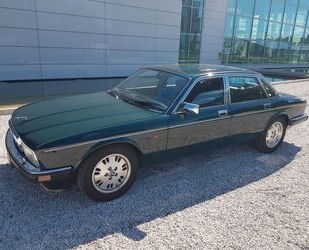 Jaguar XJ40 Gebrauchtwagen