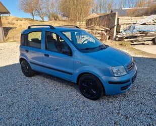 Fiat Panda Gebrauchtwagen