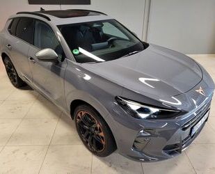 Cupra Terramar Gebrauchtwagen