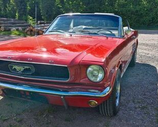 Ford Mustang Gebrauchtwagen