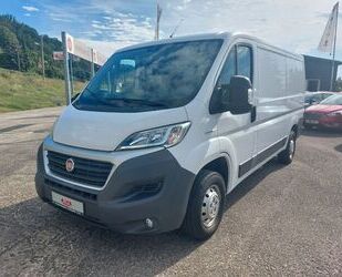 Fiat Ducato Gebrauchtwagen