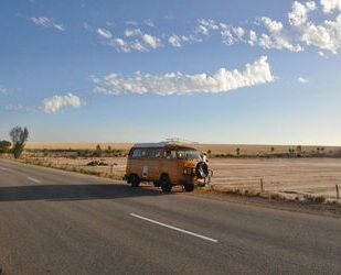 VW T2 Gebrauchtwagen