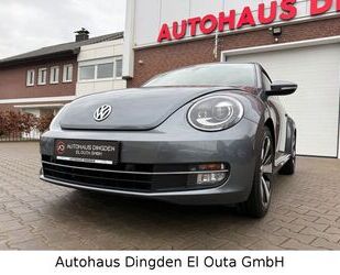 VW Beetle Gebrauchtwagen
