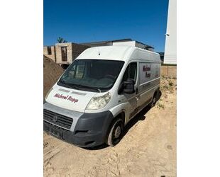Fiat Ducato Gebrauchtwagen