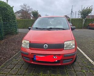 Fiat Panda Gebrauchtwagen