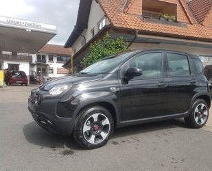 Fiat Panda Gebrauchtwagen