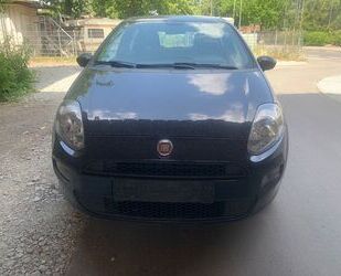 Fiat Punto Gebrauchtwagen