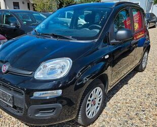 Fiat New Panda Gebrauchtwagen