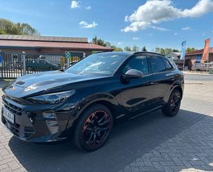 Cupra Terramar Gebrauchtwagen