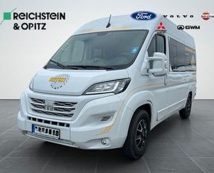 Fiat Ducato Gebrauchtwagen