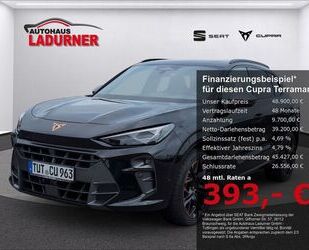 Cupra Terramar Gebrauchtwagen