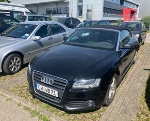 Audi A5 Gebrauchtwagen