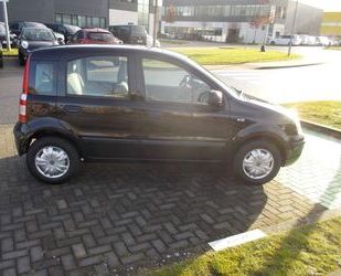 Fiat Panda Gebrauchtwagen