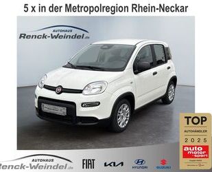 Fiat New Panda Gebrauchtwagen