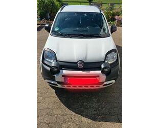 Fiat Panda Gebrauchtwagen