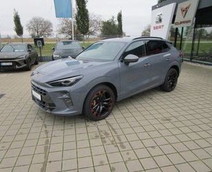 Cupra Terramar Gebrauchtwagen