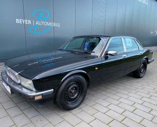 Jaguar Daimler Gebrauchtwagen