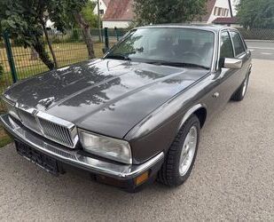 Jaguar XJ40 Gebrauchtwagen