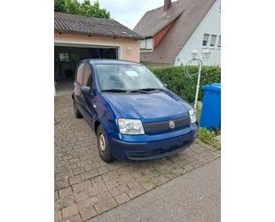 Fiat Panda Gebrauchtwagen