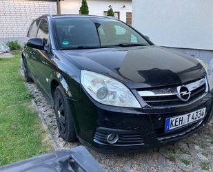 Opel Signum Gebrauchtwagen