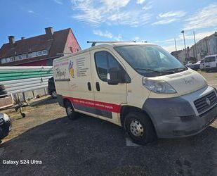 Fiat Ducato Gebrauchtwagen