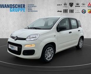 Fiat Panda Gebrauchtwagen