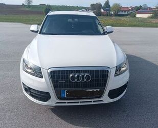 Audi Q5 Gebrauchtwagen