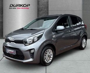 Kia Picanto Gebrauchtwagen
