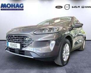 Ford Kuga Gebrauchtwagen