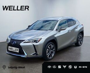 Lexus UX Gebrauchtwagen