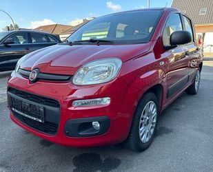 Fiat New Panda Gebrauchtwagen