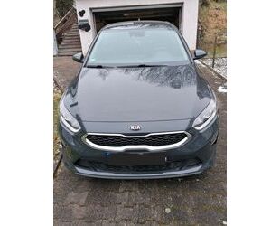 Kia ceed / Ceed Gebrauchtwagen