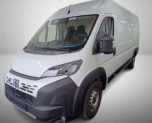Fiat Ducato Gebrauchtwagen