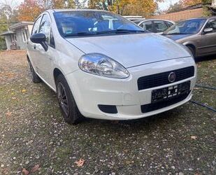 Fiat Punto Gebrauchtwagen