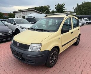 Fiat Panda Gebrauchtwagen
