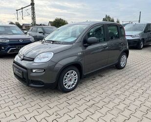 Fiat Panda Gebrauchtwagen