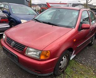 VW Polo Gebrauchtwagen