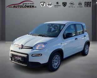 Fiat Panda Gebrauchtwagen