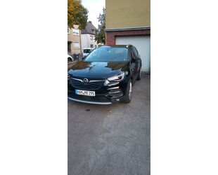 Opel Grandland (X) Gebrauchtwagen