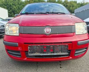 Fiat Panda Gebrauchtwagen
