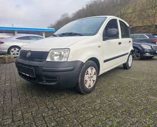 Fiat Panda Gebrauchtwagen